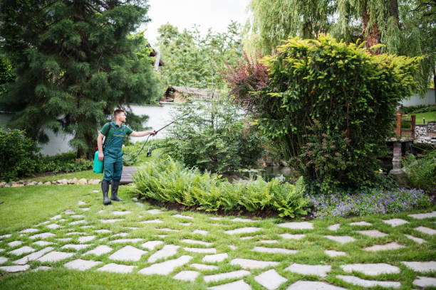 Best Pest Prevention Services  in Bunker Hill Village, TX