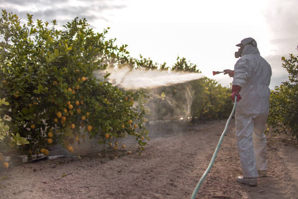 Best Best Pest Control Companies  in Bunker Hill Village, TX