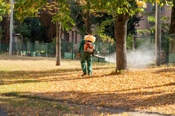 Best Pest Removal Services  in Bunker Hill Village, TX